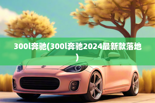 300l奔驰(300l奔驰2024最新款落地)