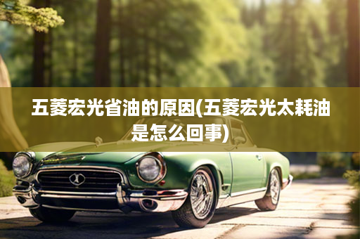 五菱宏光省油的原因(五菱宏光太耗油是怎么回事)