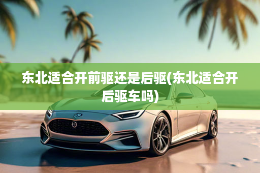 东北适合开前驱还是后驱(东北适合开后驱车吗)