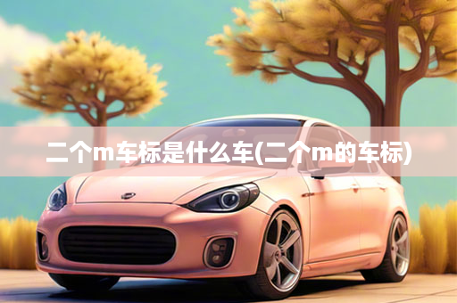二个m车标是什么车(二个m的车标)