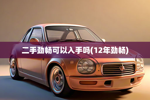 二手劲畅可以入手吗(12年劲畅)