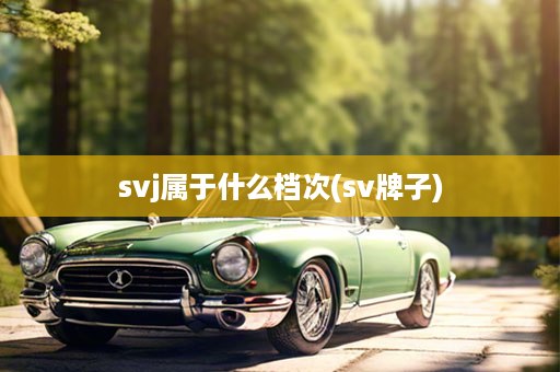 svj属于什么档次(sv牌子)