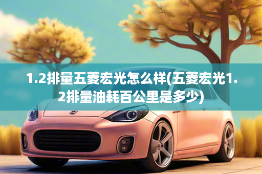 1.2排量五菱宏光怎么样(五菱宏光1.2排量油耗百公里是多少)