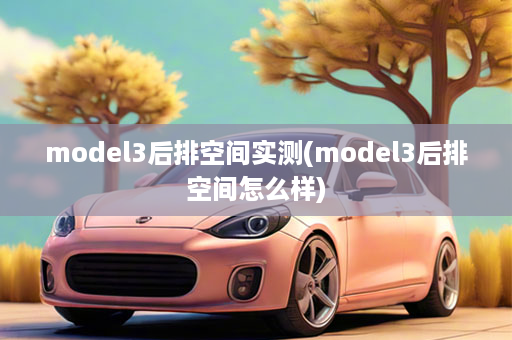 model3后排空间实测(model3后排空间怎么样)