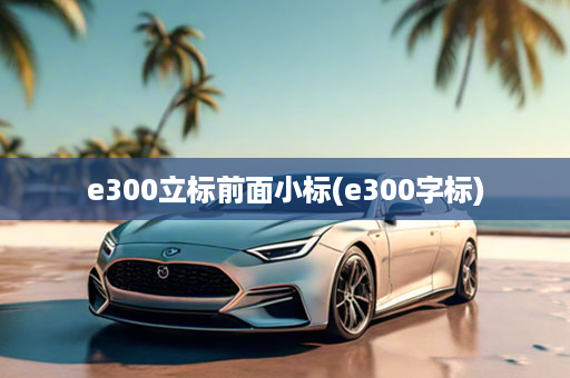 e300立标前面小标(e300字标)