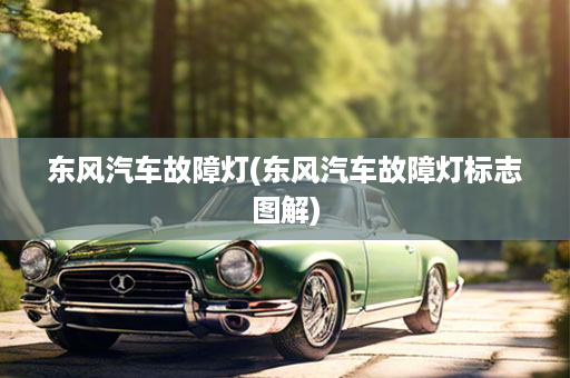 东风汽车故障灯(东风汽车故障灯标志图解)