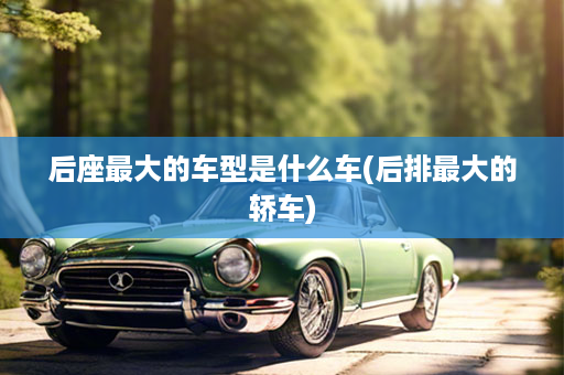后座最大的车型是什么车(后排最大的轿车)