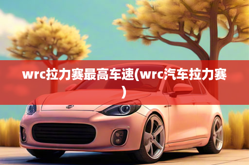 wrc拉力赛最高车速(wrc汽车拉力赛)