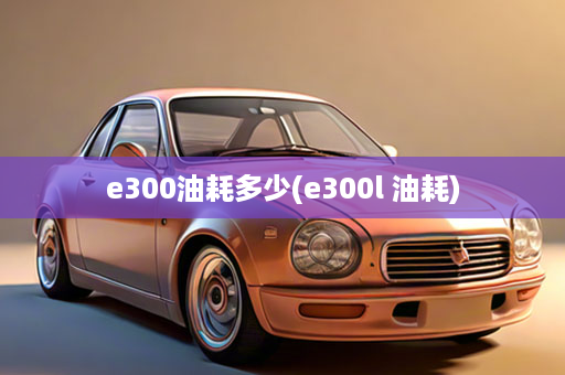 e300油耗多少(e300l 油耗)