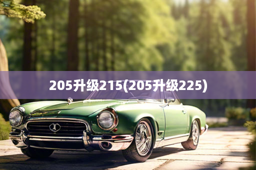 205升级215(205升级225)