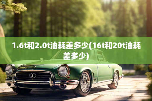 1.6t和2.0t油耗差多少(16t和20t油耗差多少)