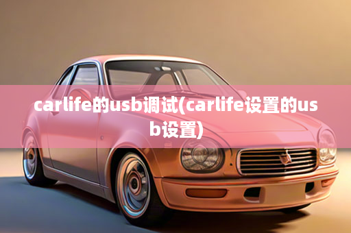 carlife的usb调试(carlife设置的usb设置)