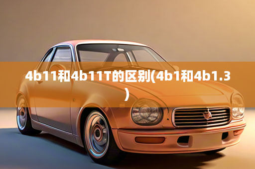 4b11和4b11T的区别(4b1和4b1.3)