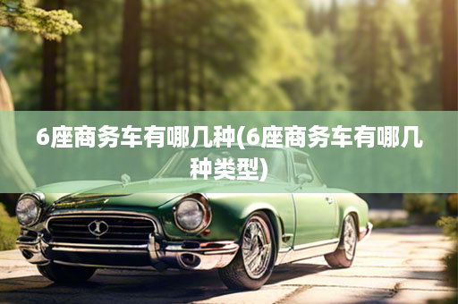 6座商务车有哪几种(6座商务车有哪几种类型)