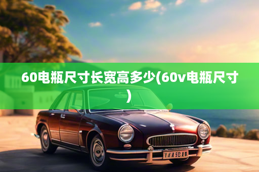 60电瓶尺寸长宽高多少(60v电瓶尺寸)