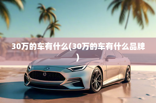 30万的车有什么(30万的车有什么品牌)