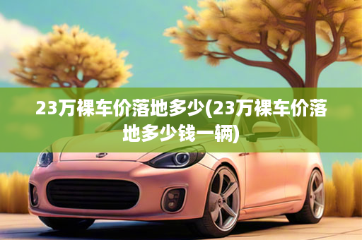 23万裸车价落地多少(23万裸车价落地多少钱一辆)