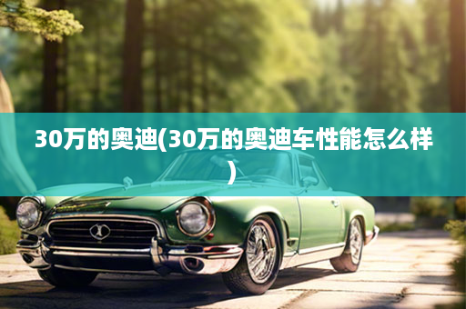 30万的奥迪(30万的奥迪车性能怎么样)