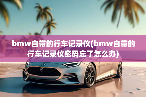 bmw自带的行车记录仪(bmw自带的行车记录仪密码忘了怎么办)