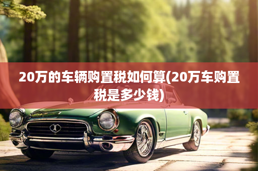 20万的车辆购置税如何算(20万车购置税是多少钱)