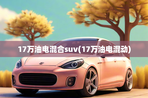 17万油电混合suv(17万油电混动)