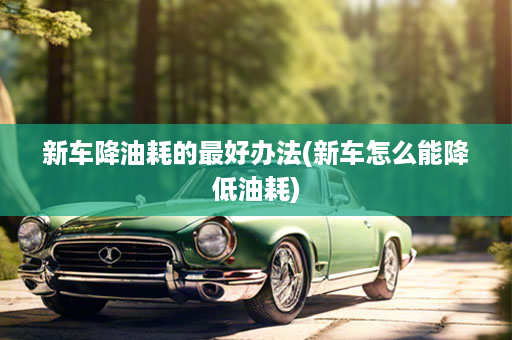 新车降油耗的最好办法(新车怎么能降低油耗)