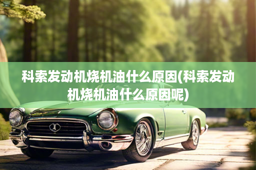 科索发动机烧机油什么原因(科索发动机烧机油什么原因呢)