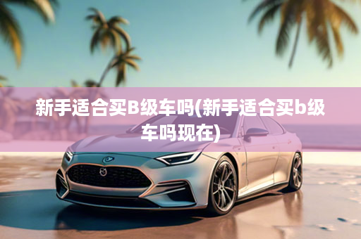 新手适合买B级车吗(新手适合买b级车吗现在)