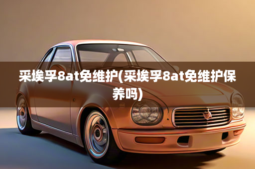 采埃孚8at免维护(采埃孚8at免维护保养吗)