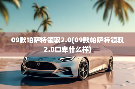 09款帕萨特领驭2.0(09款帕萨特领驭2.0口卑什么样)