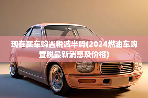 现在买车购置税减半吗(2024燃油车购置税最新消息及价格)