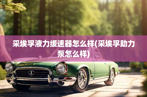 采埃孚液力缓速器怎么样(采埃孚助力泵怎么样)