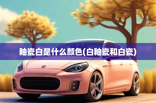 釉瓷白是什么颜色(白釉瓷和白瓷)