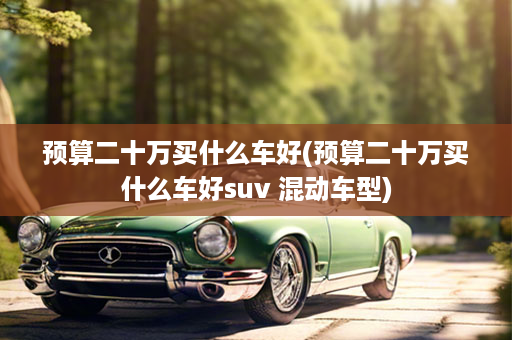 预算二十万买什么车好(预算二十万买什么车好suv 混动车型)