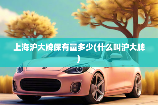 上海沪大牌保有量多少(什么叫沪大牌)