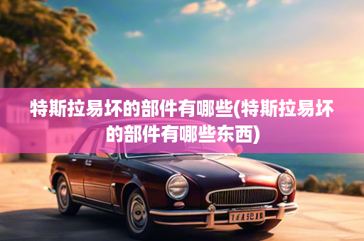 特斯拉易坏的部件有哪些(特斯拉易坏的部件有哪些东西)