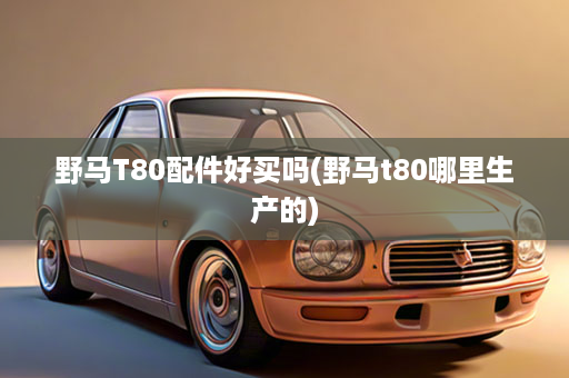 野马T80配件好买吗(野马t80哪里生产的)
