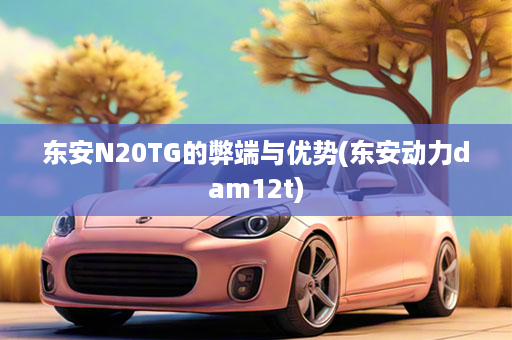 东安N20TG的弊端与优势(东安动力dam12t)