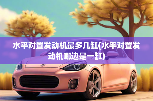 水平对置发动机最多几缸(水平对置发动机哪边是一缸)