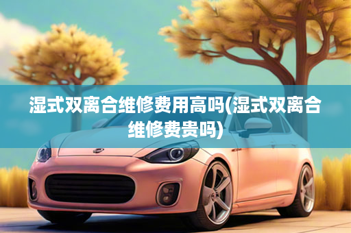 湿式双离合维修费用高吗(湿式双离合维修费贵吗)
