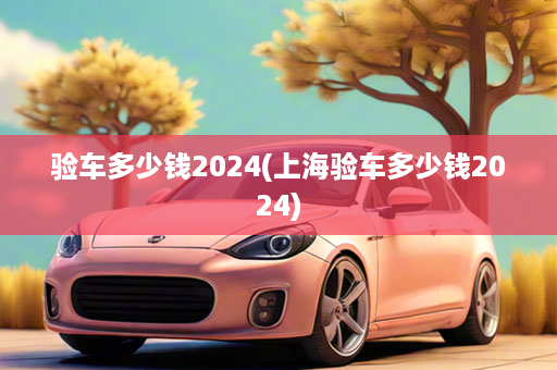 验车多少钱2024(上海验车多少钱2024)