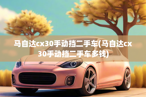 马自达cx30手动挡二手车(马自达cx30手动挡二手车多钱)