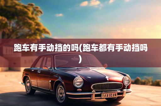 跑车有手动挡的吗(跑车都有手动挡吗)