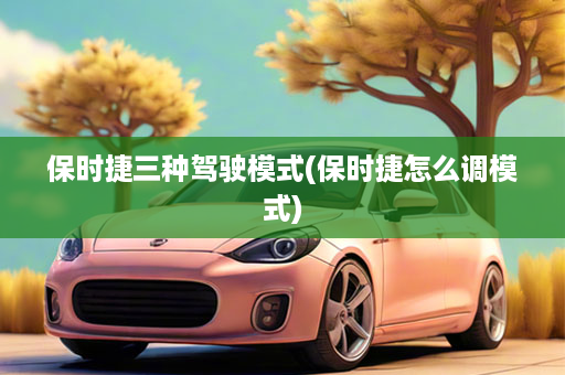 保时捷三种驾驶模式(保时捷怎么调模式)